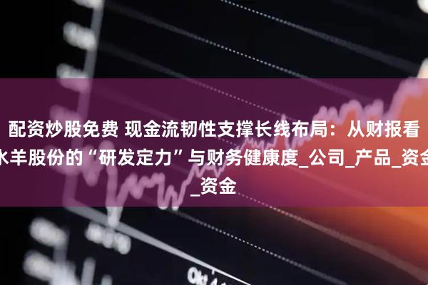 配资炒股免费 现金流韧性支撑长线布局：从财报看水羊股份的“研发定力”与财务健康度_公司_产品_资金